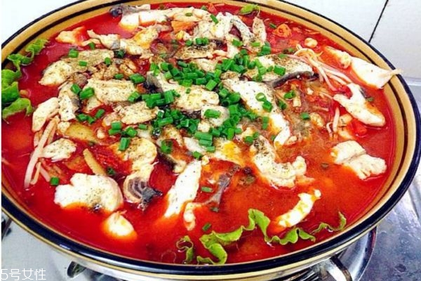 水煮鱼片做法(水煮鱼片做法最正宗的做法)