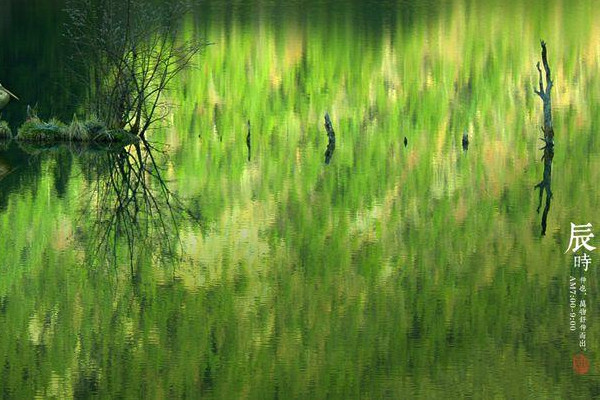 得鲜遮瑕液好用吗,得鲜遮瑕液色号选择