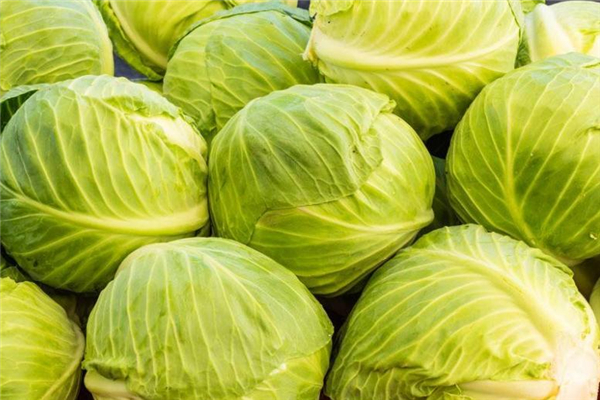 卷心菜宜和什么一起吃(卷心菜宜和什么一起吃/同吃)
