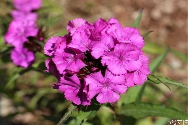 女人情商低的10种表现(女人情商低的10种表现)