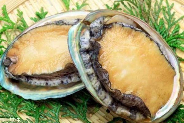 鲍鱼的种类有什么呢(鲍鱼的种类有哪些)