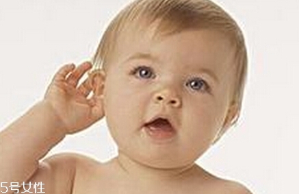 猪脑可以怎么做呢(猪脑怎样做)