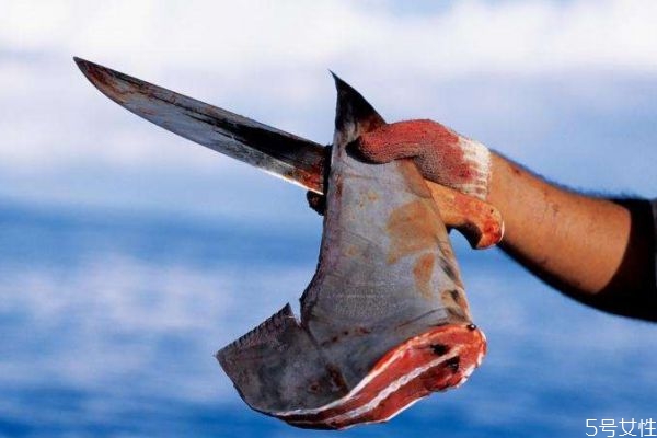 甲亢会影响月经吗?,女人得了甲亢会影响月经吗 甲亢会影响月经吗?,女人得了甲亢会影响月经吗