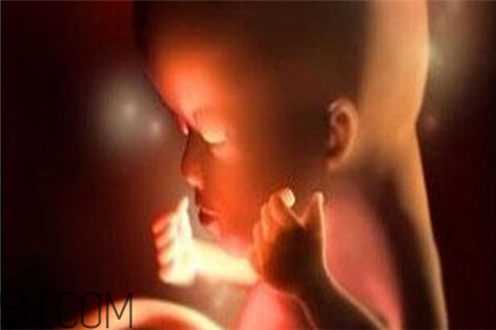 向日葵是围着太阳转吗?,向日葵为什么围着太阳转? 向日葵是围着太阳转吗?,向日葵为什么围着太阳转?