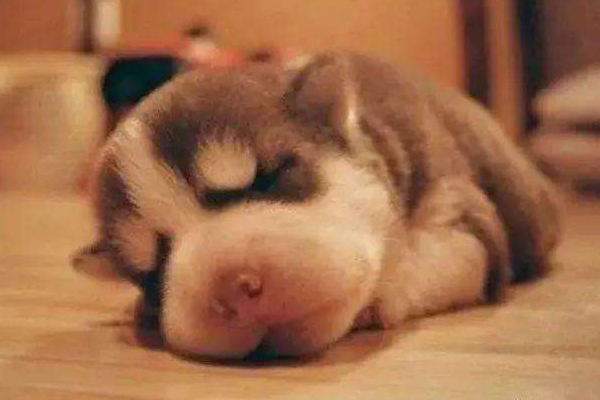 女生睡觉前不能做的事(女生睡觉前不能做的事情)