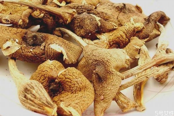 鸡枞菌怎么做最有营养价值呢(鸡枞菌有什么营养价值)