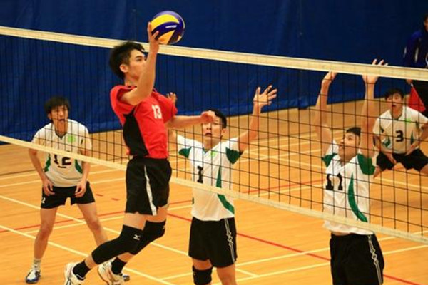 打排球的好处(打排球的好处和坏处) 打排球的好处(打排球的好处和坏处)