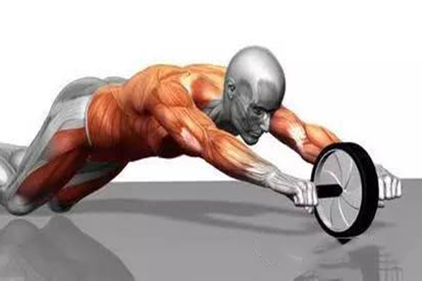 腹肌轮和仰卧板哪个便宜(腹肌轮好用还是仰卧起坐) 腹肌轮和仰卧板哪个便宜(腹肌轮好用还是仰卧起坐)