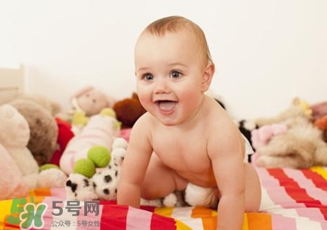 松乳菇是什么颜色的呢(松乳菇图片)