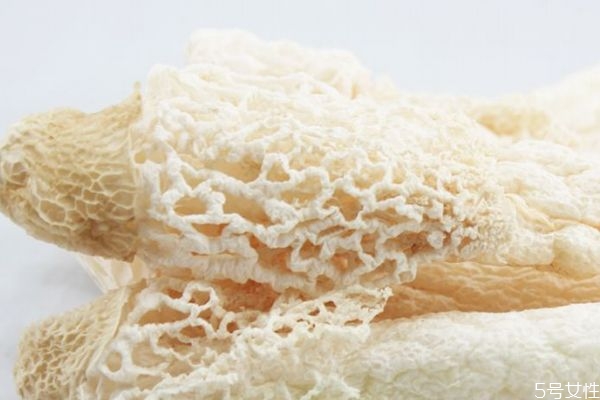 竹荪主要分布在哪里呢(竹荪生长在什么地方)