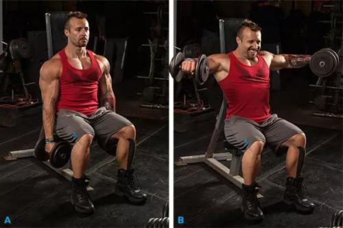 三角肌是哪里(上臂三角肌是哪里) 三角肌是哪里(上臂三角肌是哪里)