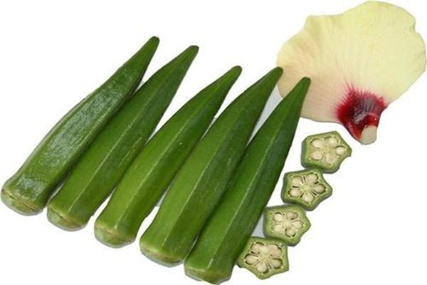 新鲜的秋葵可以泡水喝吗(新鲜的秋葵可以泡水喝吗)