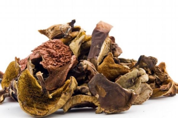 松蘑可以怎么存放呢(松蘑的保存方法) 松蘑可以怎么存放呢(松蘑的保存方法)