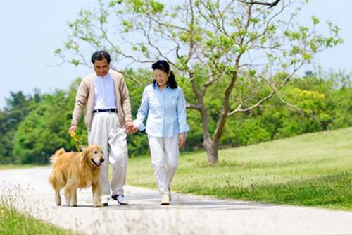 跑步和散步哪个更减肥(跑步和散步哪个更减肥?) 跑步和散步哪个更减肥(跑步和散步哪个更减肥?)