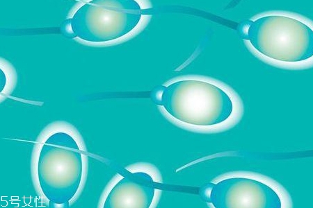 提高精子质量最佳食物,提高精子质量食谱 提高精子质量最佳食物,提高精子质量食谱