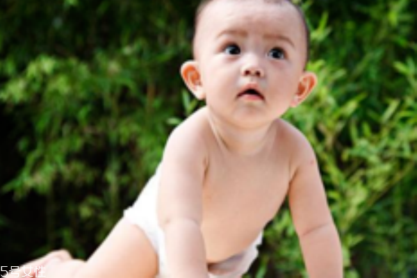 宝宝几个月会爬行,宝宝多大会爬行几个月会爬行 宝宝几个月会爬行,宝宝多大会爬行几个月会爬行