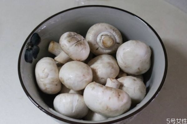 口蘑储存的方式有什么呢(口蘑的储存方法)