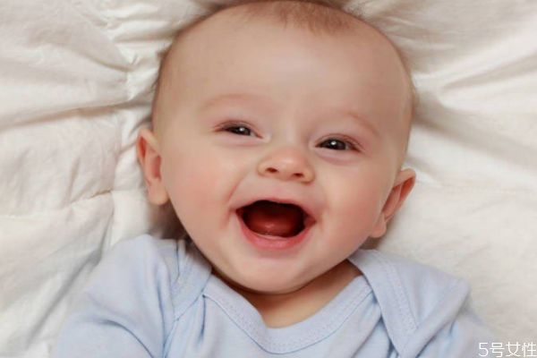 属鼠取名字宜用什么字,鼠年出生的宝宝名字用什么字好姓王