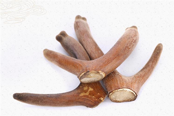 假鹿茸是什么做的,假鹿茸图片