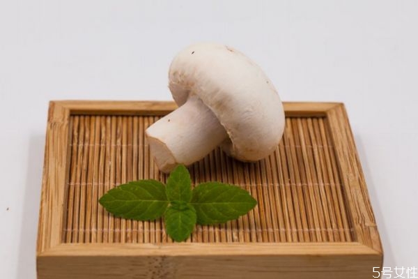 口蘑主要分布在哪里呢(口蘑生长在什么地方)