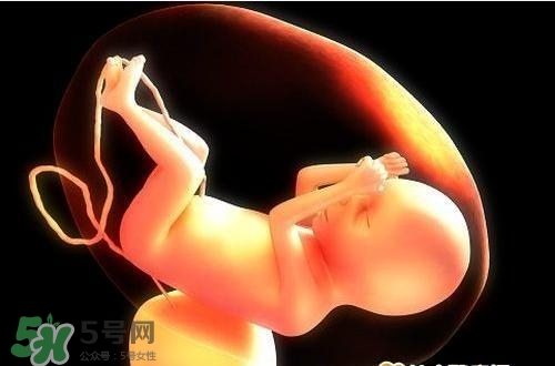 脐带血有必要保存吗 保存费用是多少,脐带血保存20年要多少钱 脐带血有必要保存吗 保存费用是多少,脐带血保存20年要多少钱