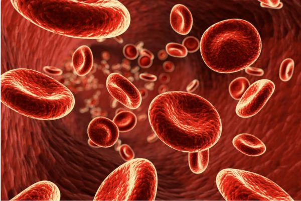 脚蹬拉力器怎么训练(脚蹬拉力器训练方法)