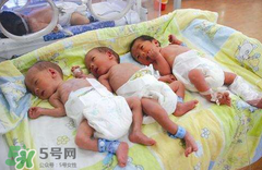 早产儿应该喝什么样的奶粉,早产新生儿喝什么奶粉比较好