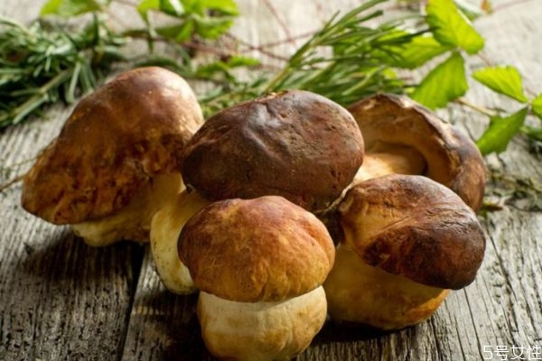 孕妇吃香菇有什么好处吗(孕妇多吃香菇有什么好处)