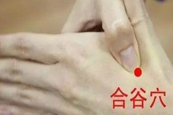 游泳圈是怎样形成的(游泳圈是怎样形成的)