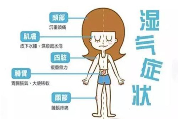 拉力绳训练动作(拉力绳训练动作大全图片) 拉力绳训练动作(拉力绳训练动作大全图片)