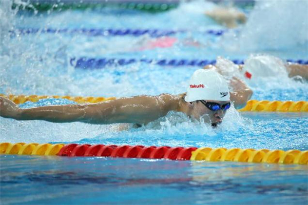 蛙泳常见错误动作(蛙泳常见错误动作和纠正)