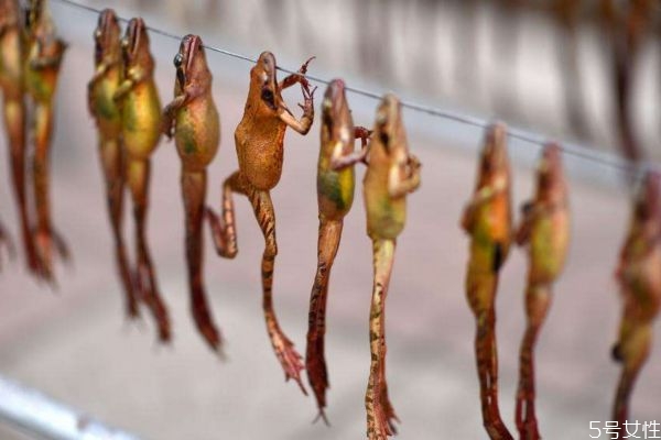 雪蛤是长什么样子,雪蛤长什么样子图片