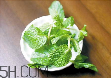 薄荷怎么做可以治疗感冒,薄荷可以治感冒吗