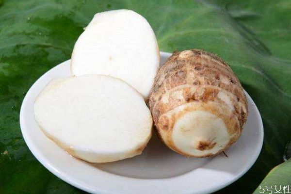 孕妇可以吃芋头吗(孕妇可以吃芋头吗早期)