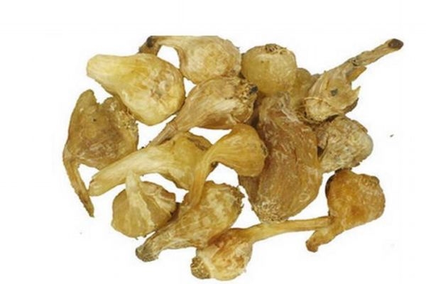 冬泳有哪些好处(冬泳有哪些好处和坏处)