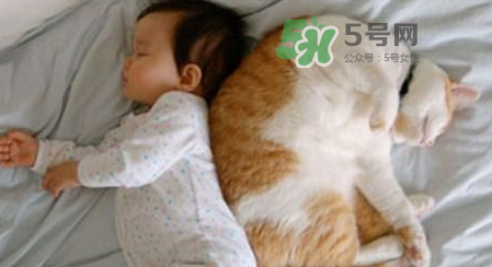 小宝宝被猫咬了怎么办,小孩如果被猫咬了会怎样?