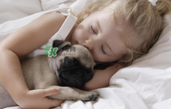 宠物对婴儿的影响大吗,养宠物对婴儿的影响 宠物对婴儿的影响大吗,养宠物对婴儿的影响