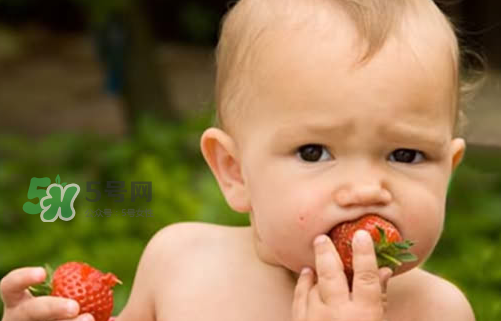 没长牙的宝宝吃什么辅食,没出牙的宝宝辅食能吃点什么