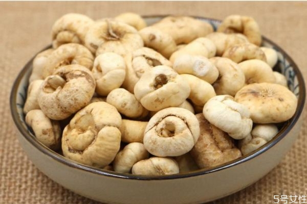 大贝母指的是啥贝母,大贝母又叫什么