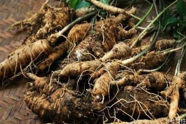 土党参的功效和作用介绍,党参的营养价值