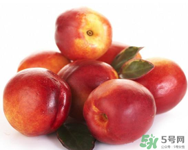 儿童可以吃核桃油吗,怀孕油桃能不能吃