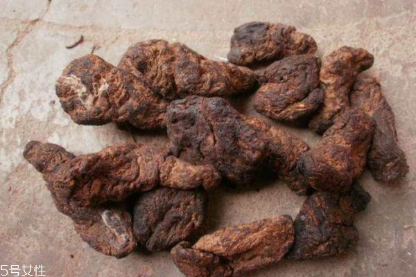 什么叫地黄,地黄指的是什么