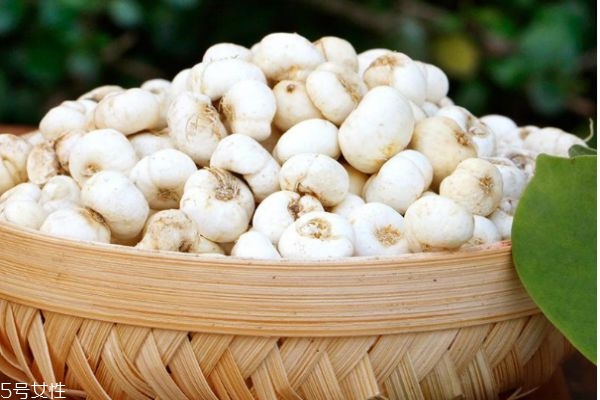 川贝的营养价值及功效和作用,川贝的好处和用途