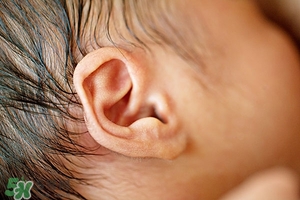 婴儿是油耳朵就一定有狐臭吗,小宝宝油耳朵以后会有狐臭吗