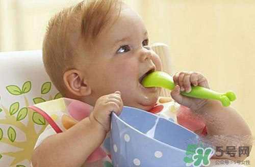 六个月宝宝可以吃肉泥吗?,六个月宝宝能吃肉泥吗