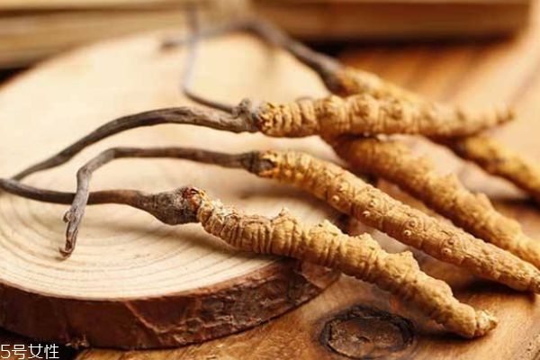 冬虫夏草生在什么地方,冬虫夏草生长在哪里 冬虫夏草生在什么地方,冬虫夏草生长在哪里