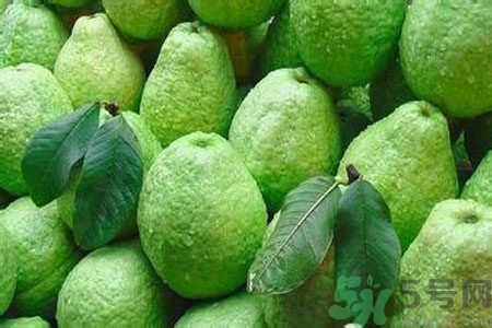 一岁宝宝可以吃番石榴吗,9个月宝宝可以吃番石榴吗