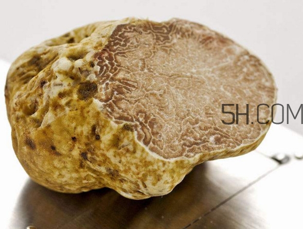 为什么白松露这么贵,白松露贵还是黑松露贵