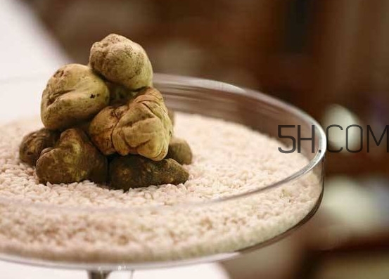 护肤品不吸收怎么办(皮肤用什么护肤品都不吸收怎么办)