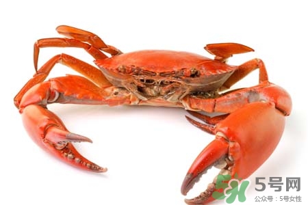 八个月宝宝可以吃螃蟹粥吗,8个月婴儿能吃螃蟹吗 八个月宝宝可以吃螃蟹粥吗,8个月婴儿能吃螃蟹吗